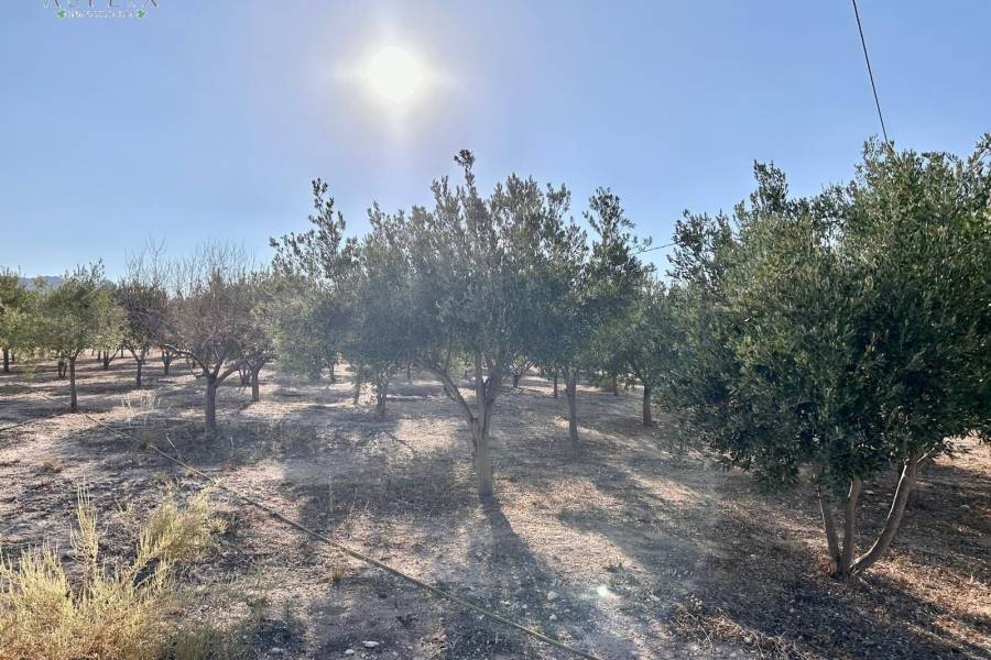 Venta - Casa de campo - La Romana - ALCANÁ