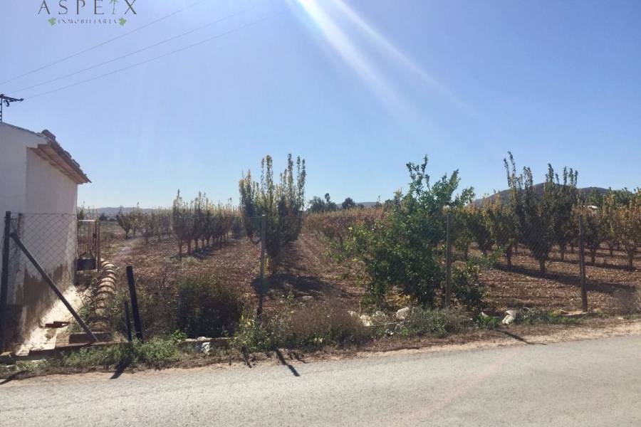 Venta - Casa de campo - Aspe  - Horna