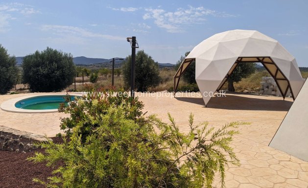 Obra nueva - Casa de campo - Pinoso