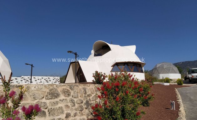 Obra nueva - Casa de campo - Pinoso