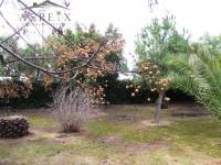 Re-sale - Villa - Novelda - CASAS DE SALA