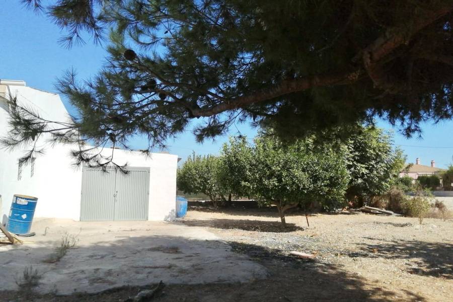 Venta - Casa de campo - Crevillente
