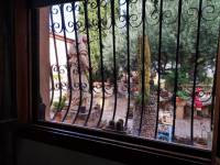 Re-sale - Country house - Novelda - CAMPET