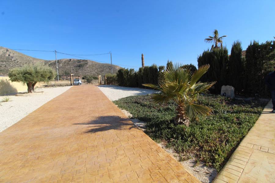 Re-sale - Country house - Hondon De Los Frailes - BARBARROJA