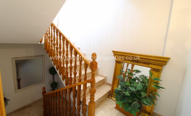 Obra nueva - Business - Jacarilla