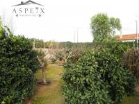 Re-sale - Villa - Novelda - CASAS DE SALA