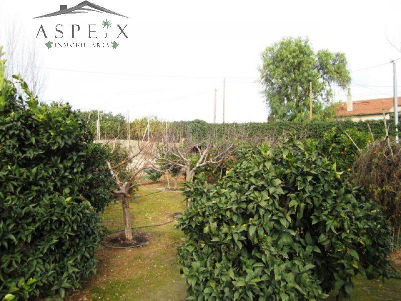 Re-sale - Villa - Novelda - CASAS DE SALA