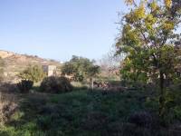 Venta - Casa de campo - Pinoso