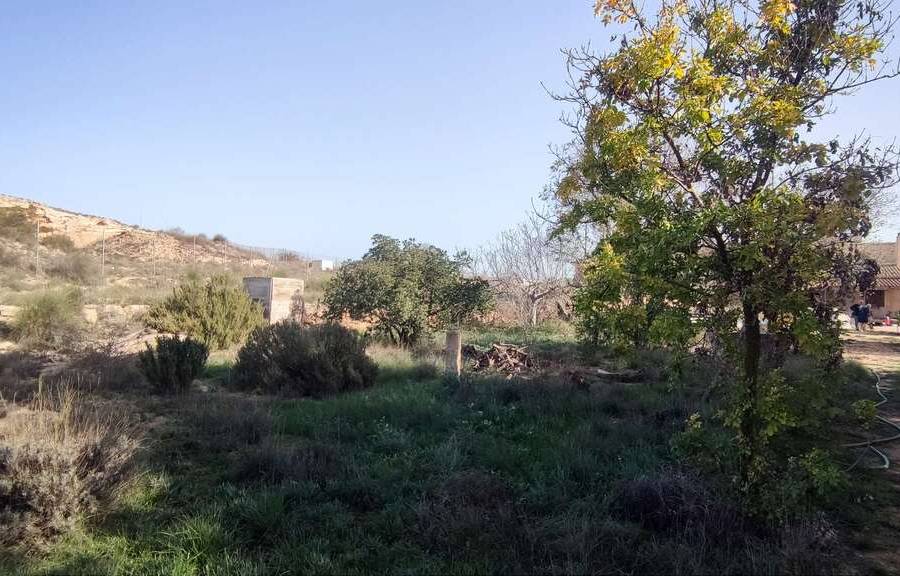 Venta - Casa de campo - Pinoso