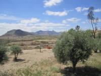 Venta - Chalet - La Romana - ALCANÁ