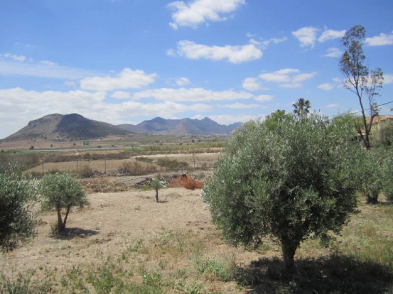 Venta - Chalet - La Romana - ALCANÁ