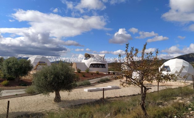 Nieuwbouw Woningen - Country house - Pinoso