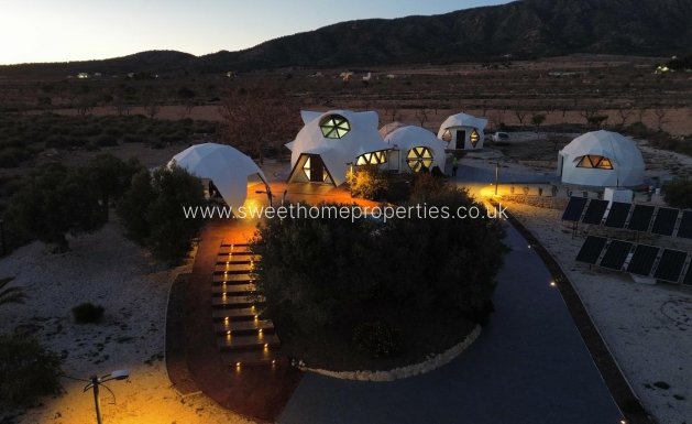 Nieuwbouw Woningen - Country house - Pinoso