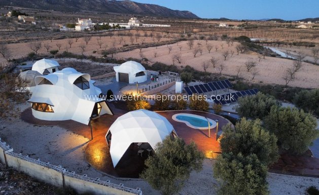 Nieuwbouw Woningen - Country house - Pinoso