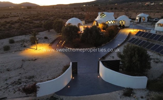 Nieuwbouw Woningen - Country house - Pinoso