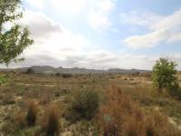 Re-sale - Plot - Monforte Del Cid - Monte Cid