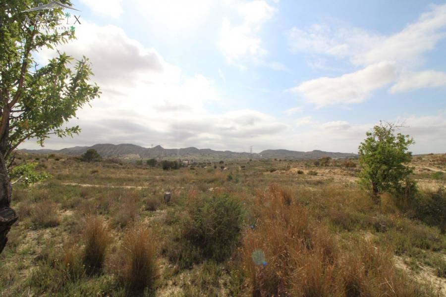 Re-sale - Plot - Monforte Del Cid - Monte Cid