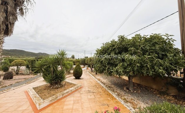 Obra nueva - Casa de campo - Cañada de la Leña