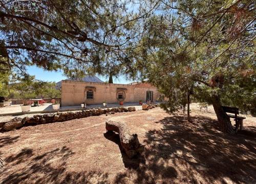 Casa de campo - Venta - Hondon De Los Frailes - BARBAROJA