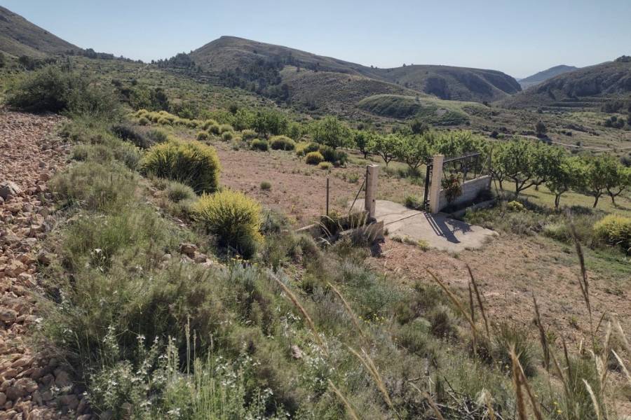 Re-sale - Plot - La Romana - ALGALLAT