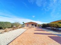 Venta - Casa de campo - Hondon De Los Frailes