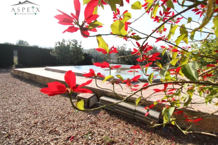 Re-sale - Villa - Monforte Del Cid - PILETAS