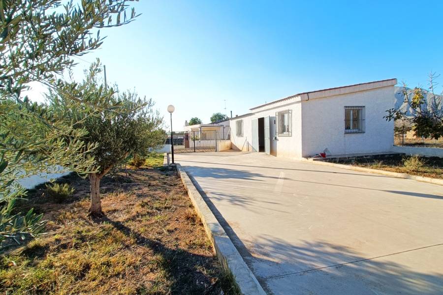 Venta - Casa de campo - Hondon De Los Frailes - BARBAROJA
