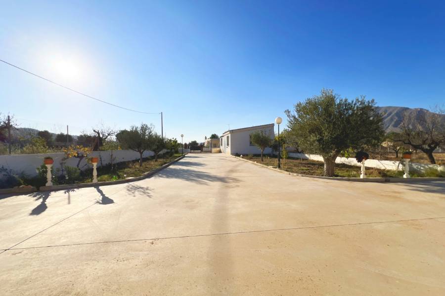 Venta - Casa de campo - Hondon De Los Frailes - BARBAROJA