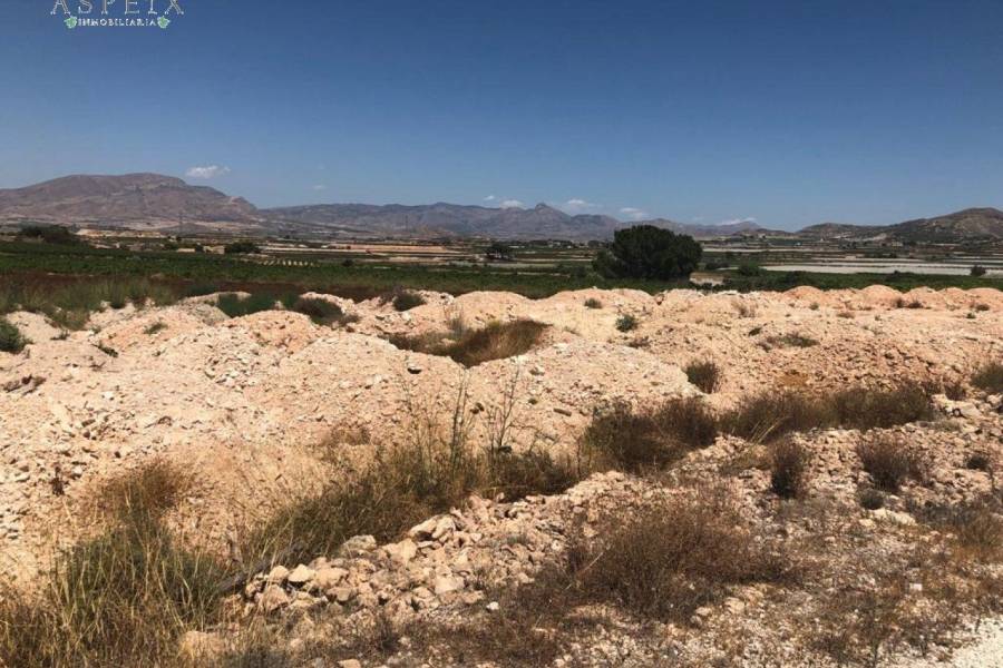 Re-sale - Plot - Monforte Del Cid - AMOLOIG