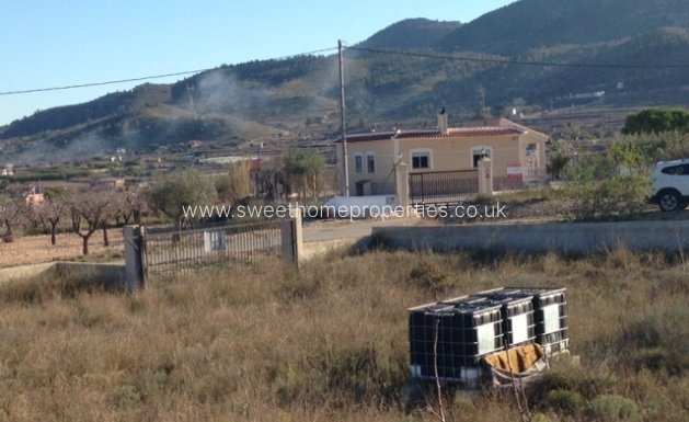 Herverkoop - Plot - Hondon De Los Frailes