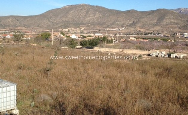 Herverkoop - Plot - Hondon De Los Frailes