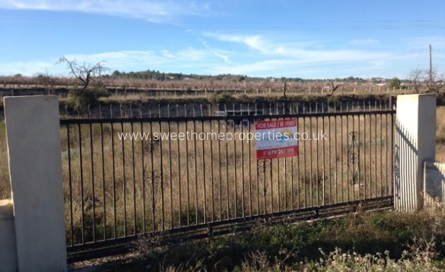 Herverkoop - Plot - Hondon De Los Frailes