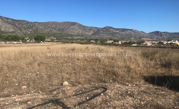 Herverkoop - Plot - Salinas