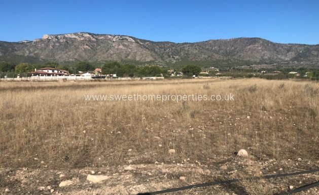 Herverkoop - Plot - Salinas