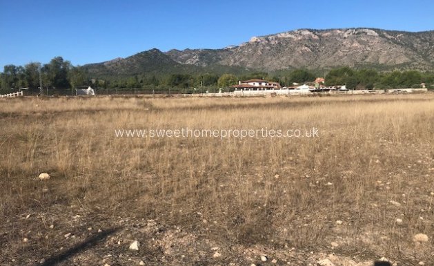 Herverkoop - Plot - Salinas