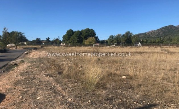 Herverkoop - Plot - Salinas