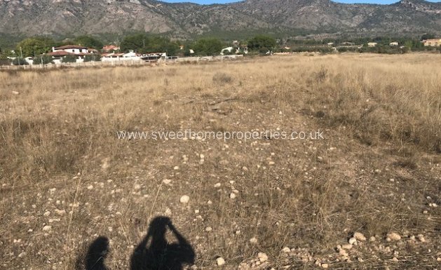 Herverkoop - Plot - Salinas