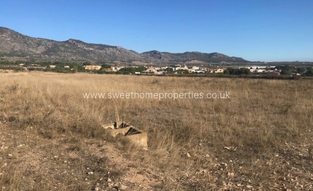 Herverkoop - Plot - Salinas