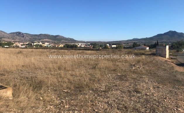 Herverkoop - Plot - Salinas