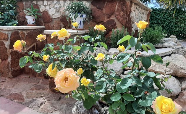 Resale - Country house - Hondon De Los Frailes - Barbarroja