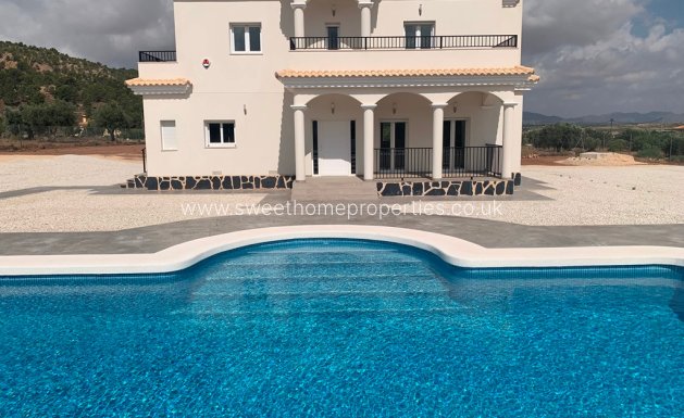 Obra nueva - Casa de campo - Pinoso