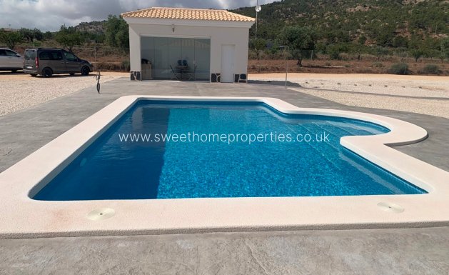 Obra nueva - Casa de campo - Pinoso