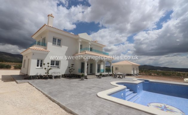 Obra nueva - Casa de campo - Pinoso