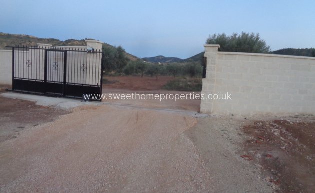 Obra nueva - Casa de campo - Pinoso