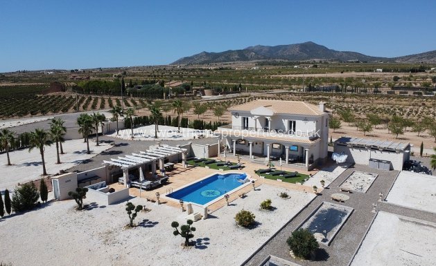 Nieuwbouw Woningen - Country house - Pinoso