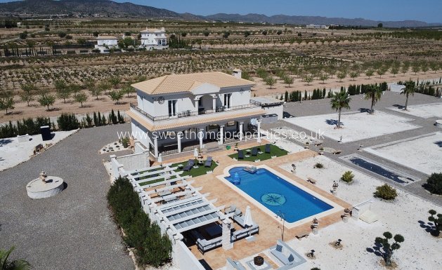 Nieuwbouw Woningen - Country house - Pinoso