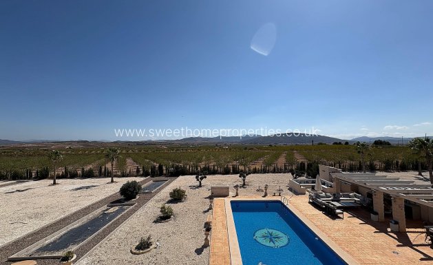 Nieuwbouw Woningen - Country house - Pinoso