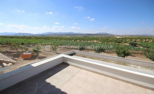 Obra nueva - Casa de campo - Pinoso