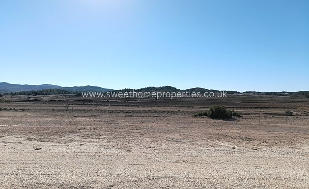 Nieuwbouw Woningen - Country house - Pinoso