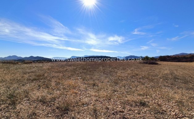 New Build - Country house - La Romana